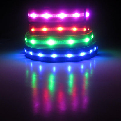 Light up LED Dog Leash - 1,000 Feet Visibility - USB Rechargeable, Waterproof, Glow in Dark - 4 Foot, Purple