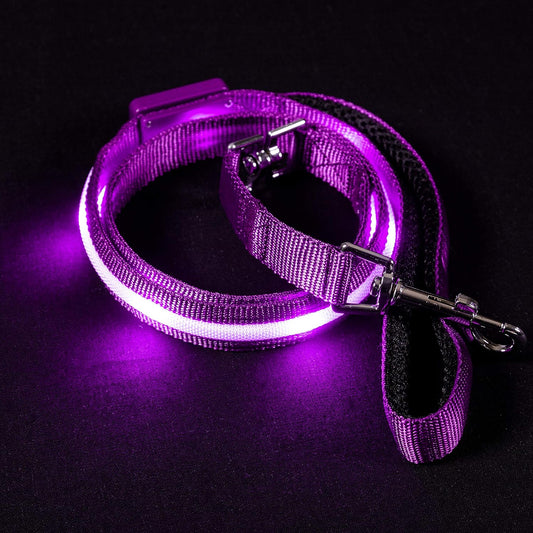 Light up LED Dog Leash - 1,000 Feet Visibility - USB Rechargeable, Waterproof, Glow in Dark - 4 Foot, Purple
