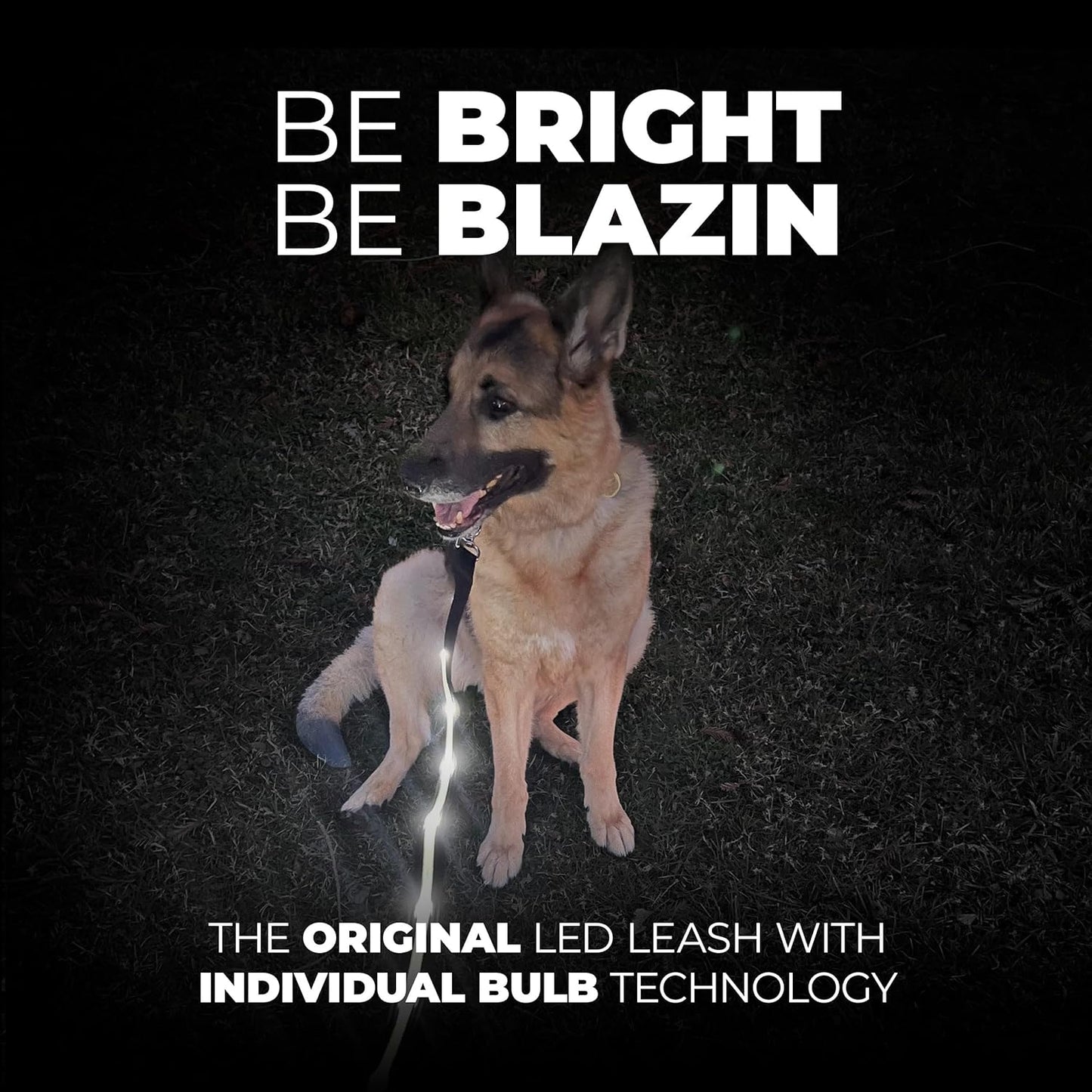 Light up LED Dog Leash - 1,000 Feet Visibility - USB Rechargeable, Waterproof, Glow in Dark - 4 Foot, Purple