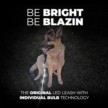 Light up LED Dog Leash - 1,000 Feet Visibility - USB Rechargeable, Waterproof, Glow in Dark - 4 Foot, Purple